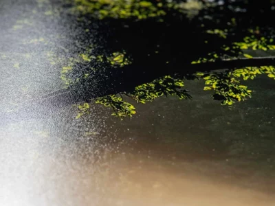 papier-mat papier-mat